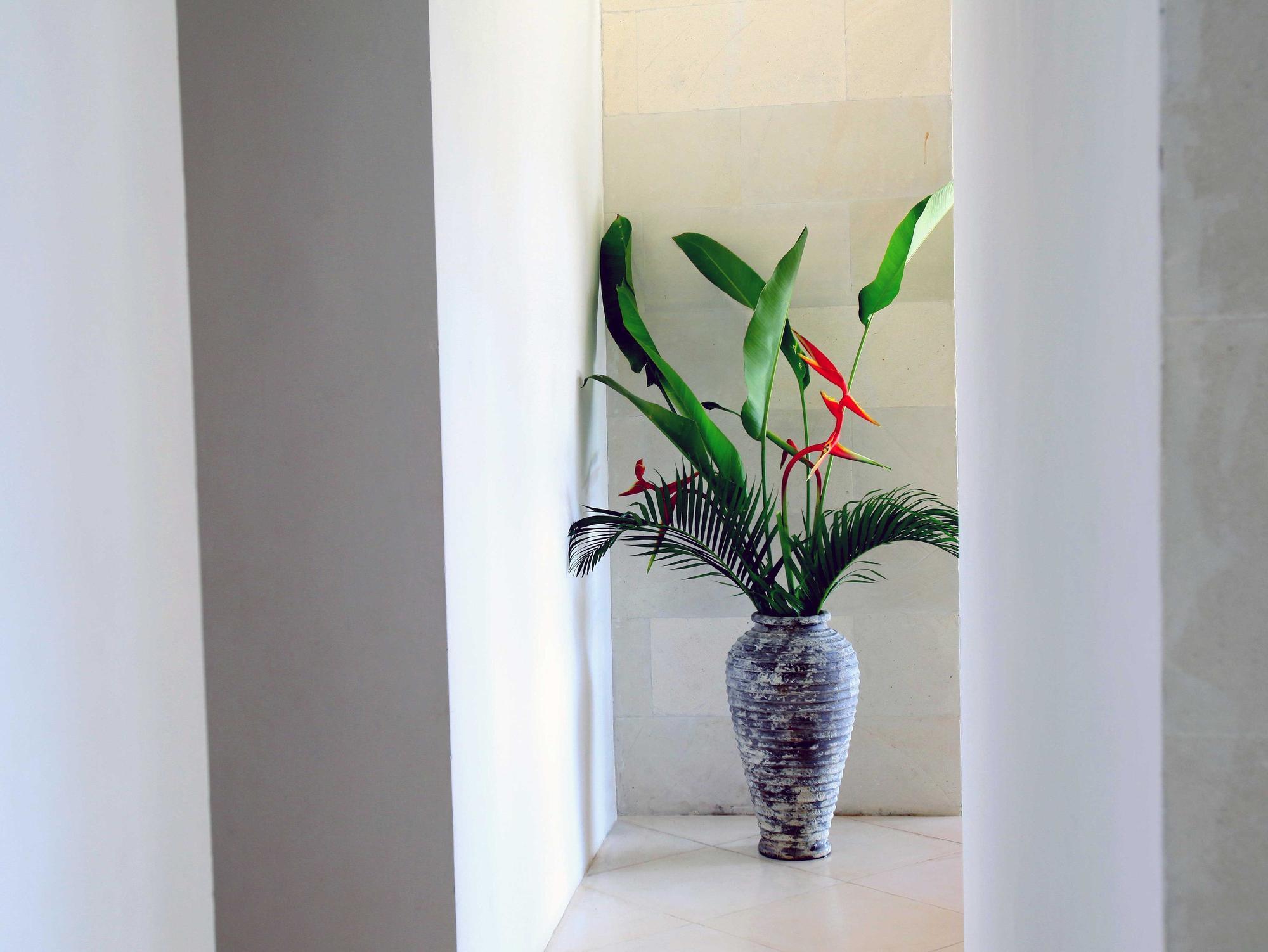 Jeda Villa Modern Stylish Luxury Villa Pemuteran Zewnętrze zdjęcie